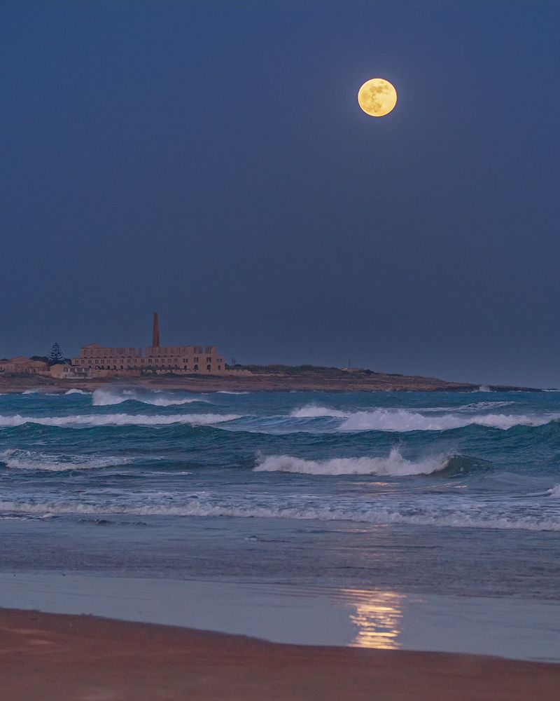 Moonlight
