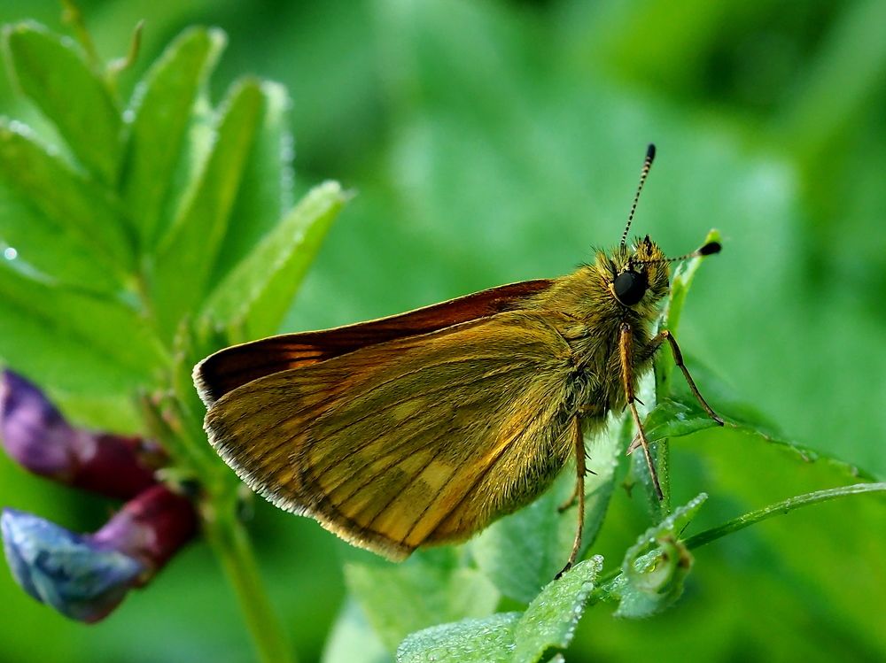 Photograph by Елена Харитонова