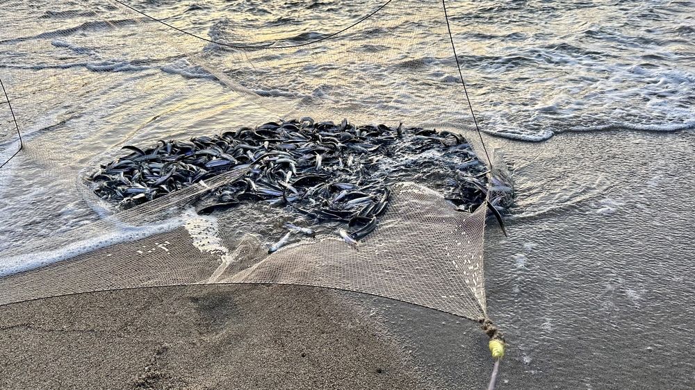 Photograph by Юлия Казимирова