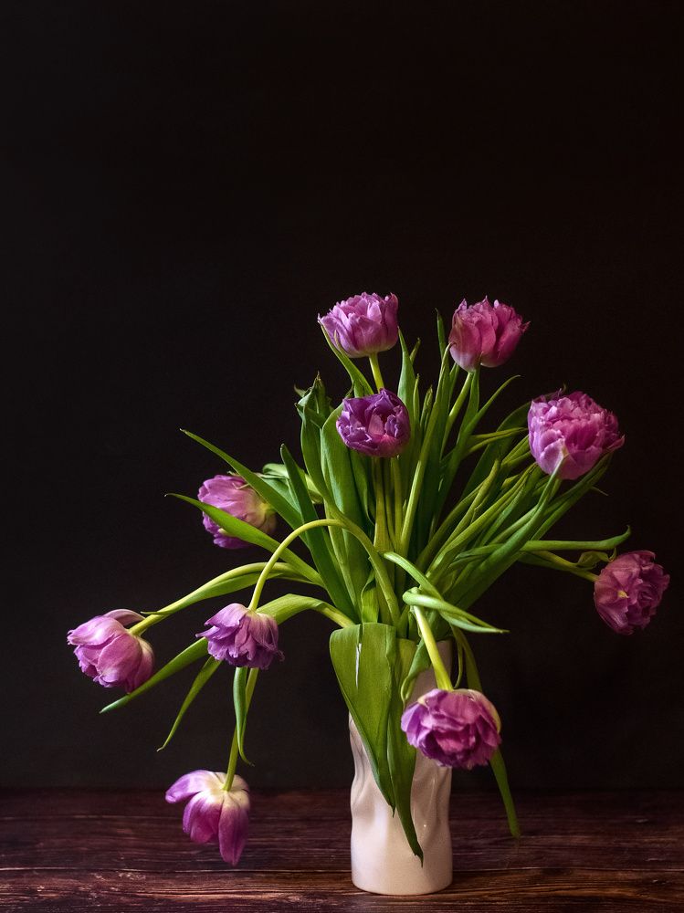 Photograph by Svetlana Jarbuse