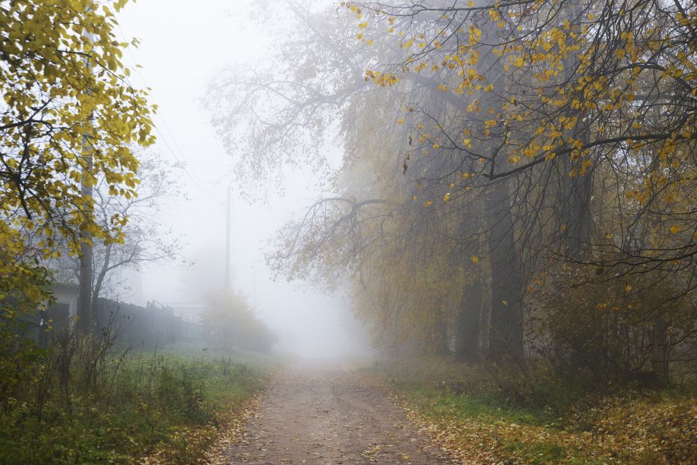 Photograph by Николай Алексеев