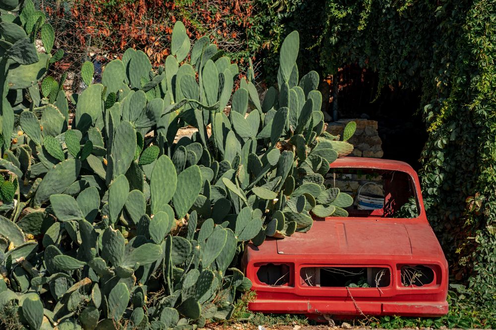 Photograph by mevlüt bilir