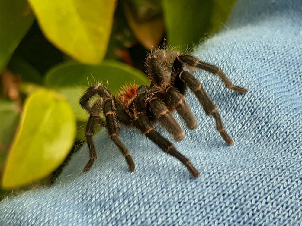 Photograph by Diego Proverbio de Freitas