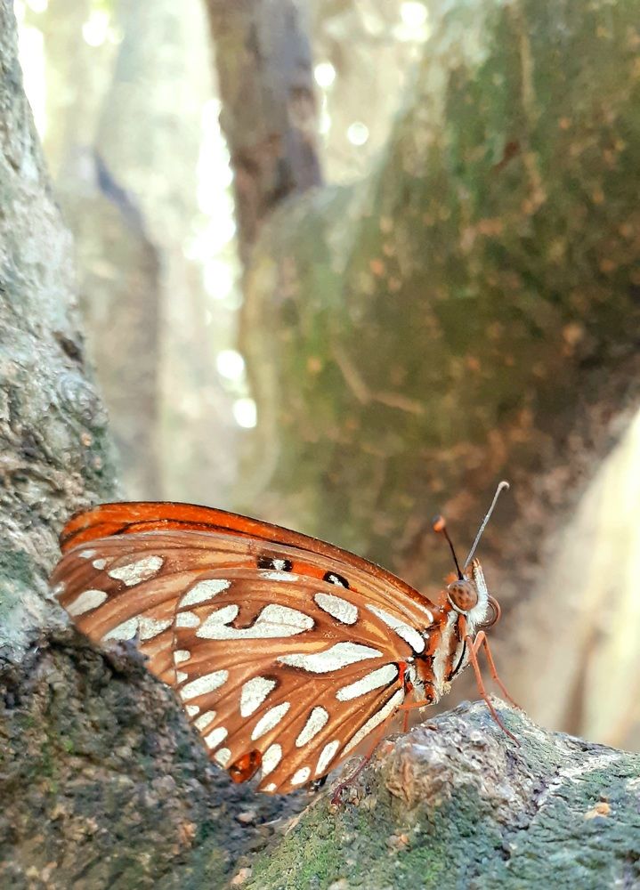 Photograph by Diego Proverbio de Freitas