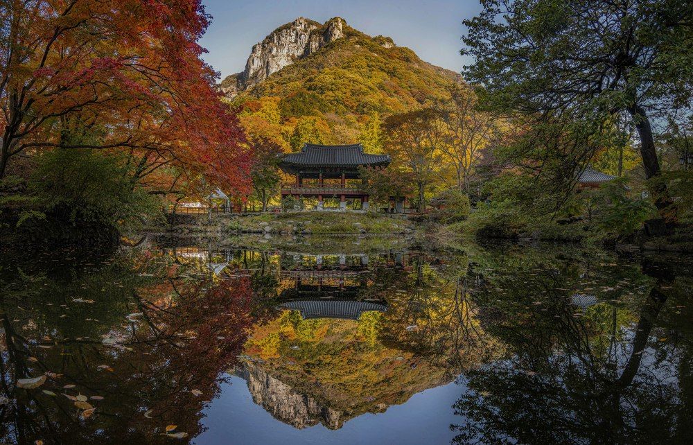 Фотография автора Tôi Là Núi