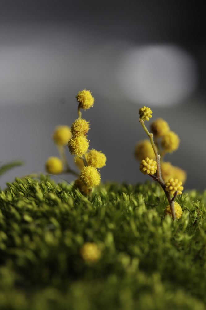 Photograph by Глеб Мацак