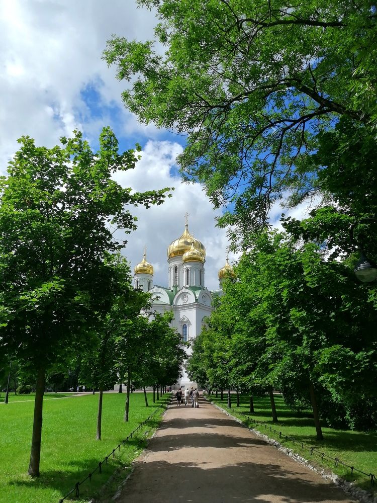 Photograph by Дмитрий Салов