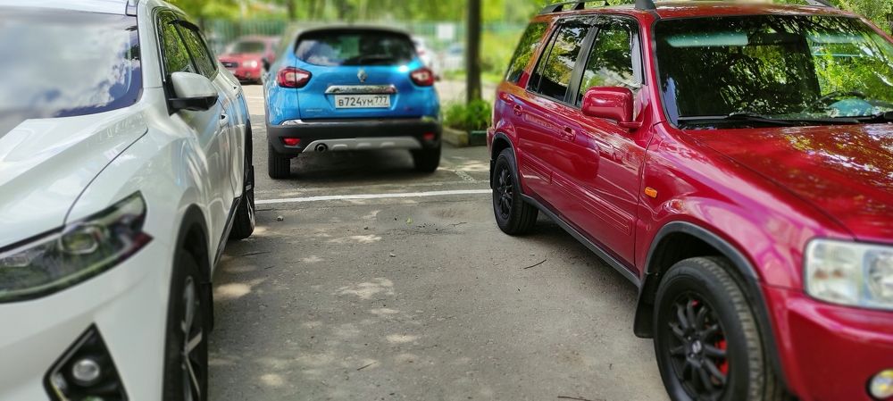 Фотография автора Васильева Ирина