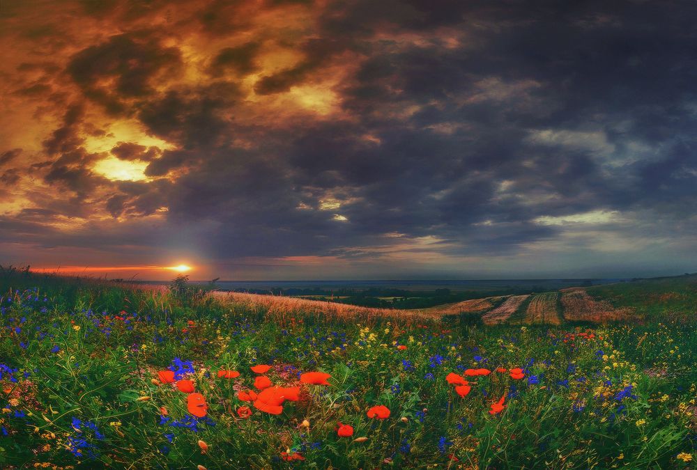 Photograph by Владимир