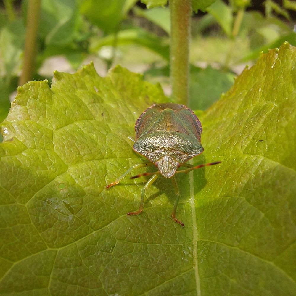 Photograph by Степан Павловский