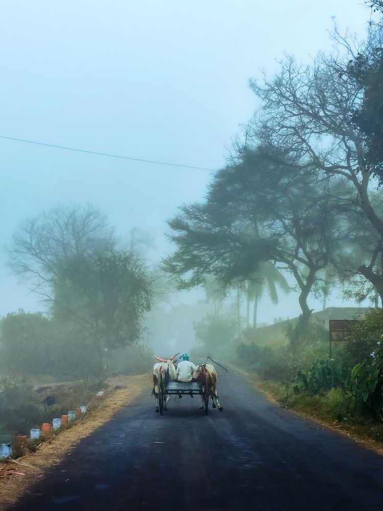 Photograph by Rohit Tonapi