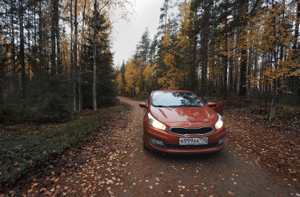 Фотография автора Александр Колдин