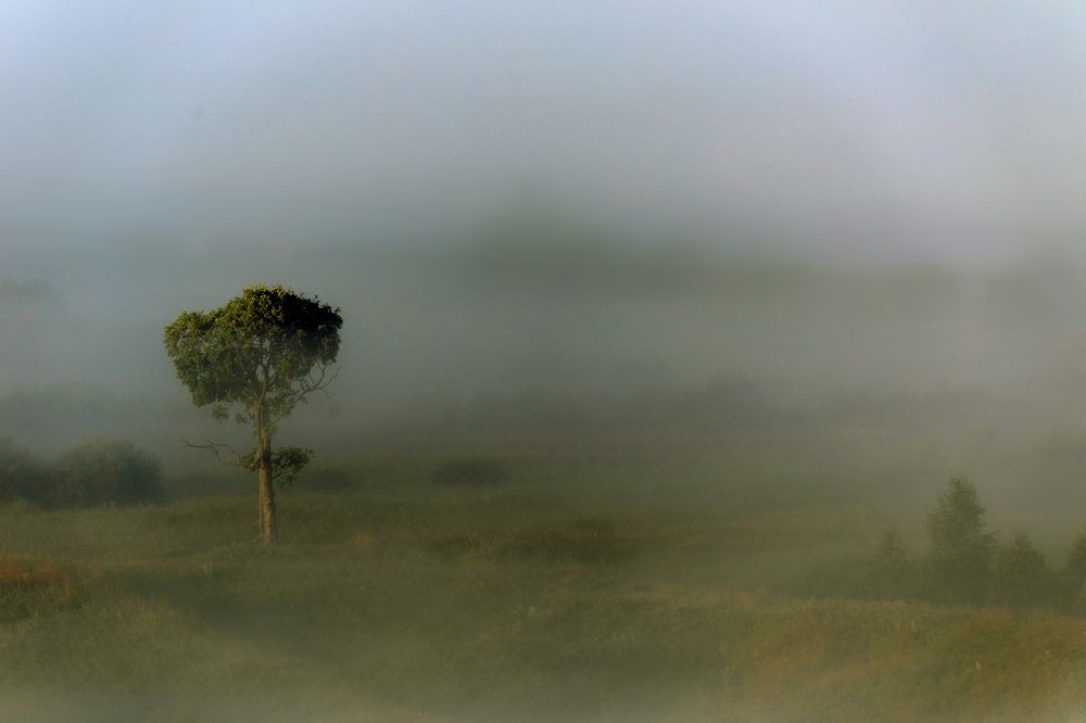 Photograph by Владимир Грибков