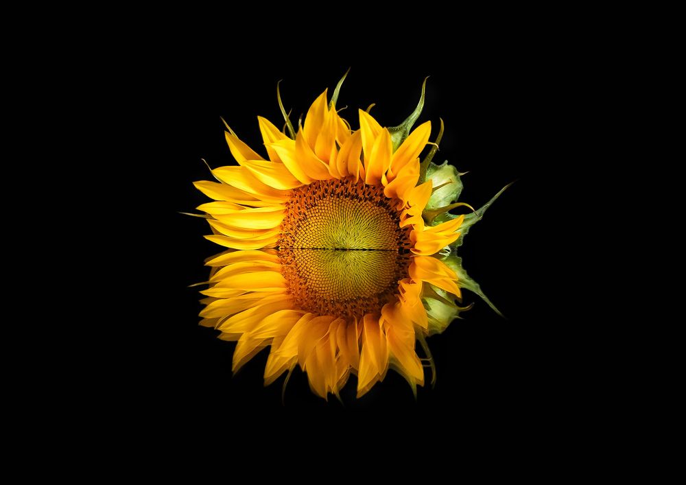 Photograph by Viktória Smid