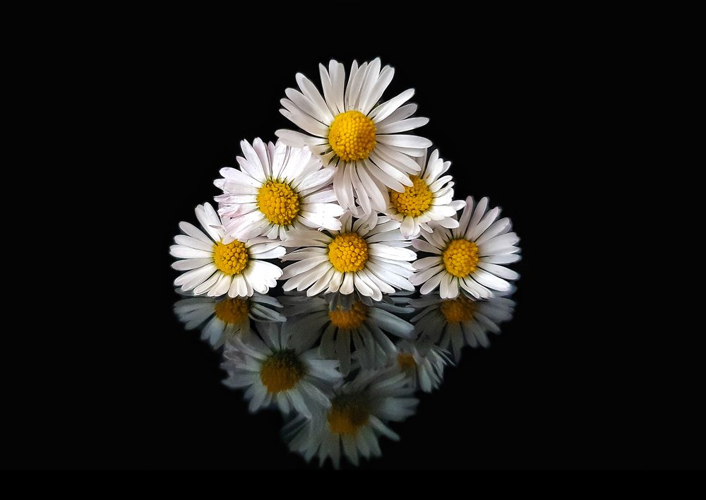 Photograph by Viktória Smid