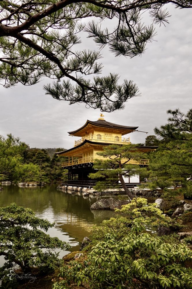 Photograph by Đoàn Thị Trung