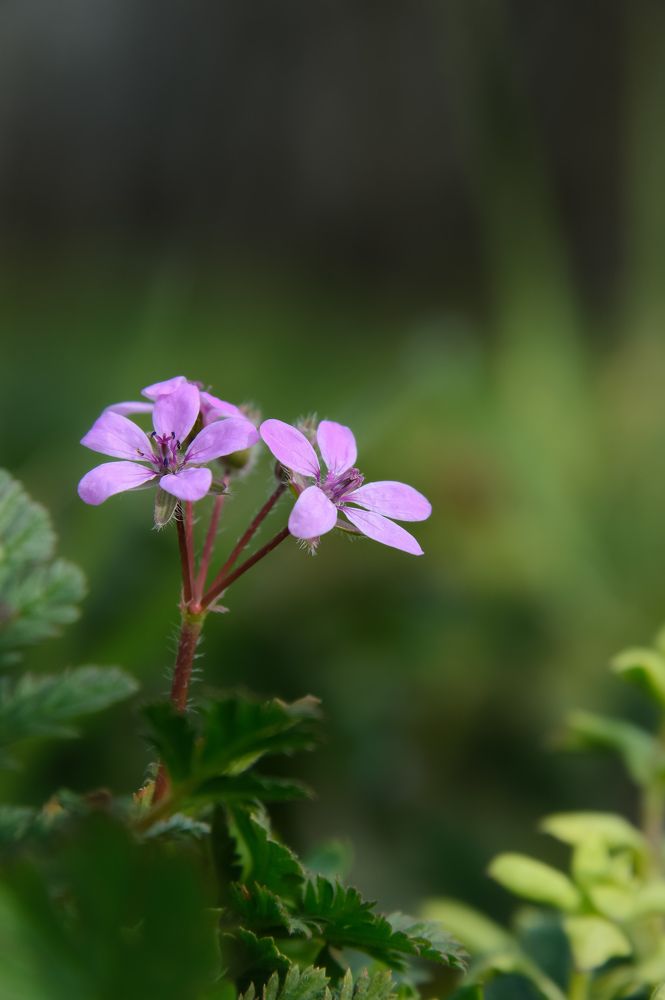 Photograph by Viktória Smid