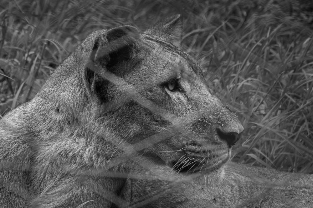 Photograph by Наталья Кокорина