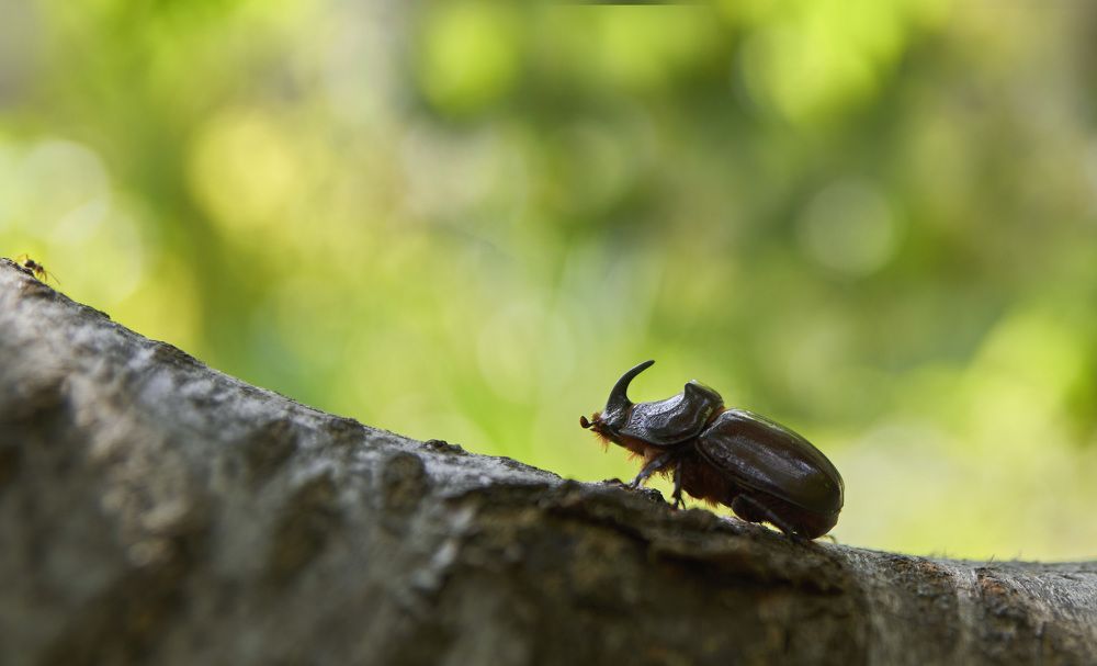 Фотография автора Галина