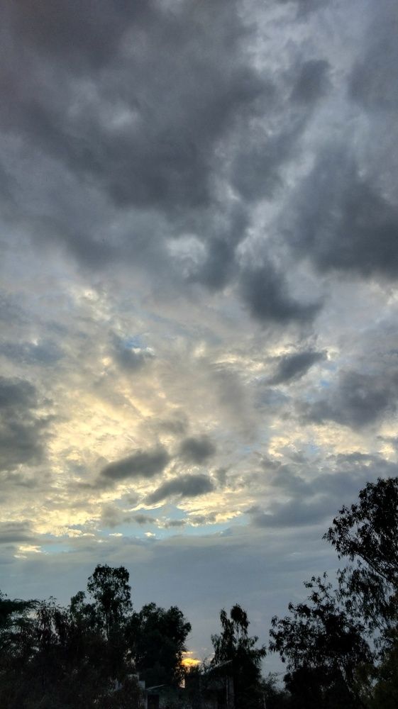 Photo #9231000