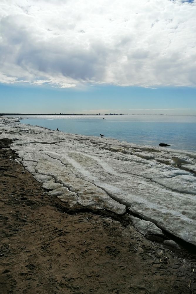 Photograph by Дмитрий Салов