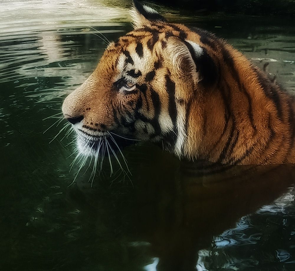 Photograph by Sivakumar soniya