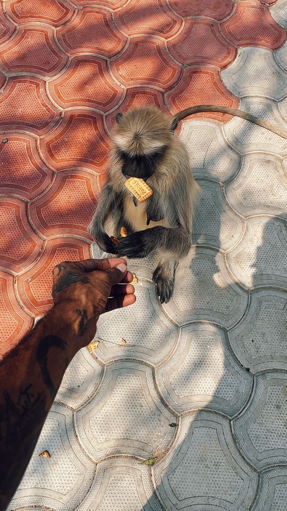 Photograph by Aashu Pandya