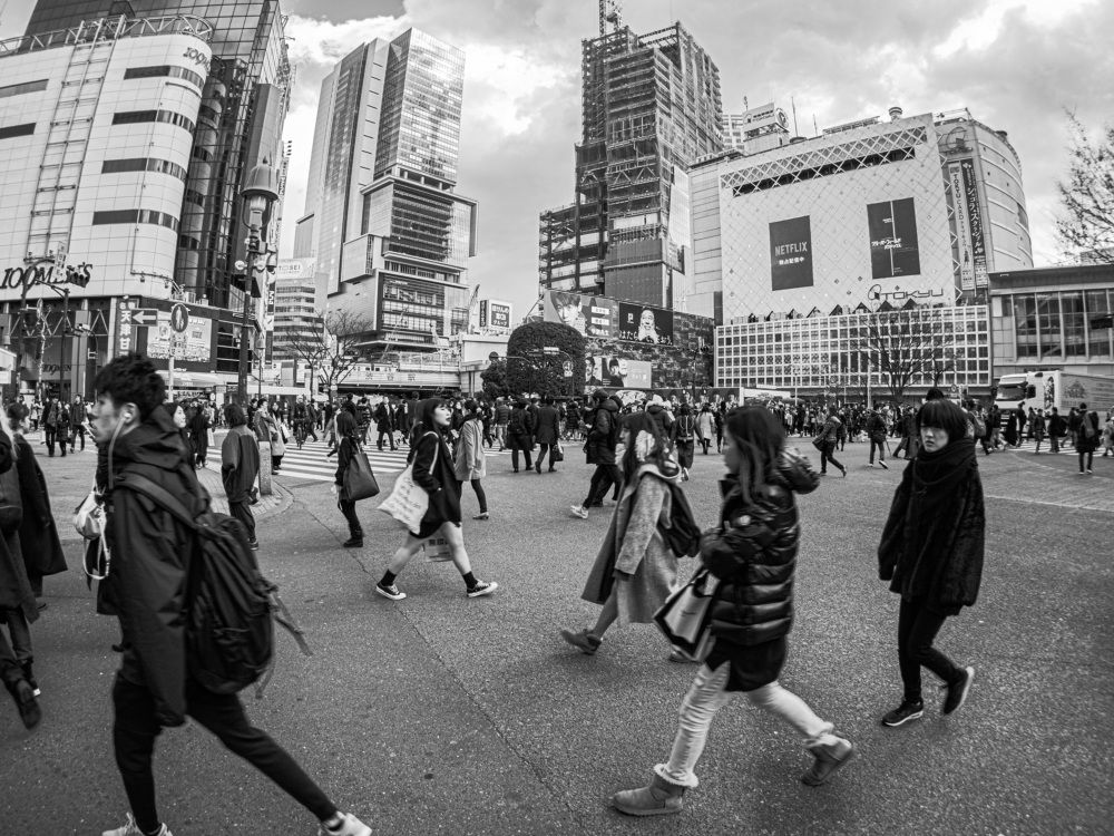 Фотография автора AYRES E POTTHOFF