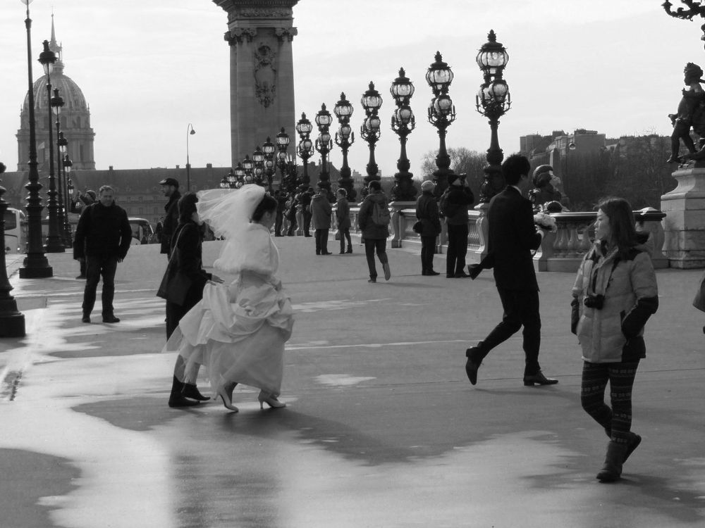 Фотография автора AYRES E POTTHOFF