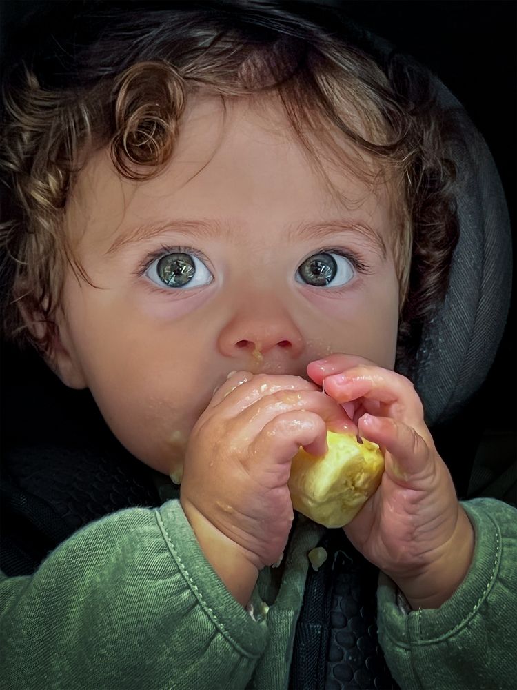 Фотография автора AYRES E POTTHOFF