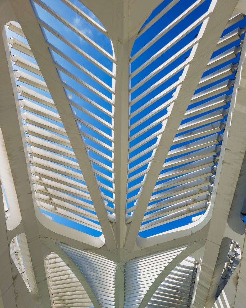 Photograph by Allan Carvalho