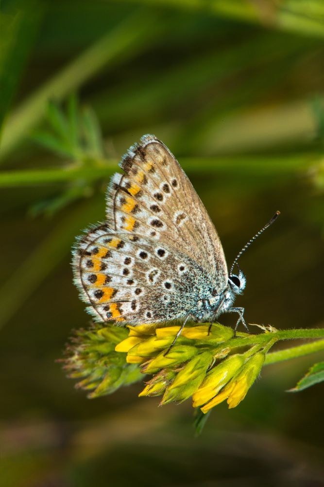Photograph by Римма Волченко