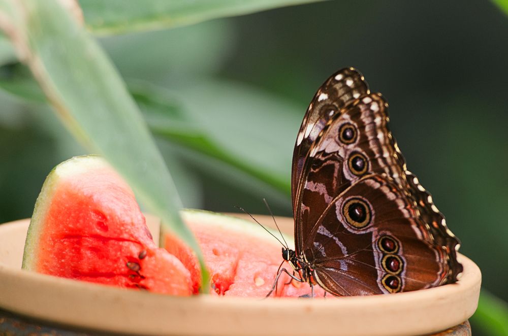 Фотография автора Андрей Неденко