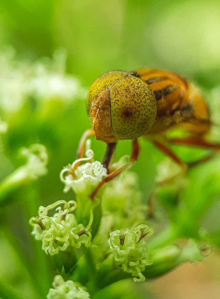 Photograph by Sumitava Chowdhury
