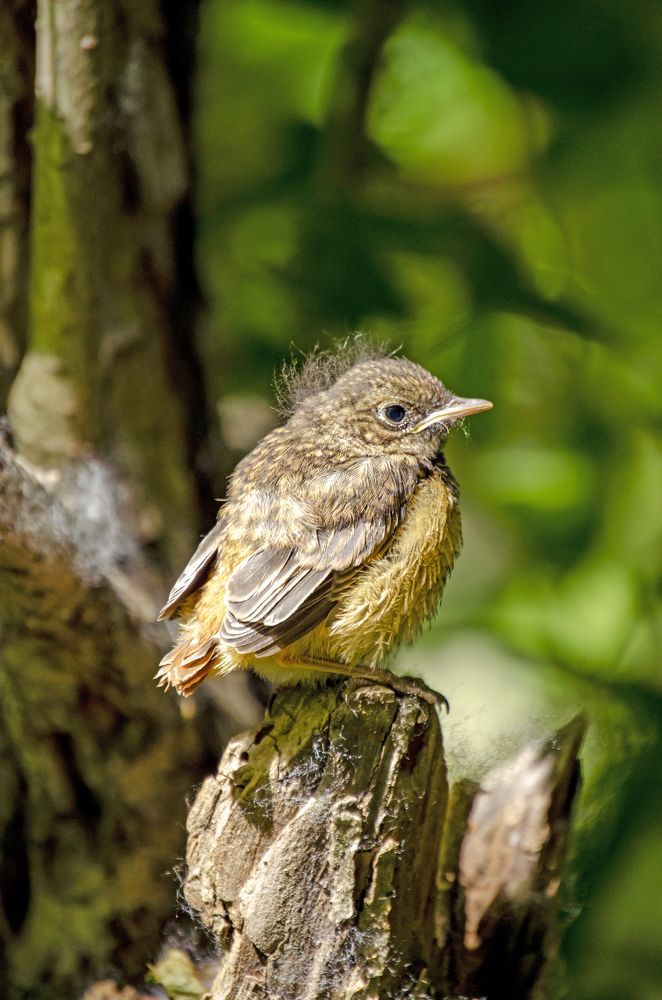 Photograph by Любовь Бусова