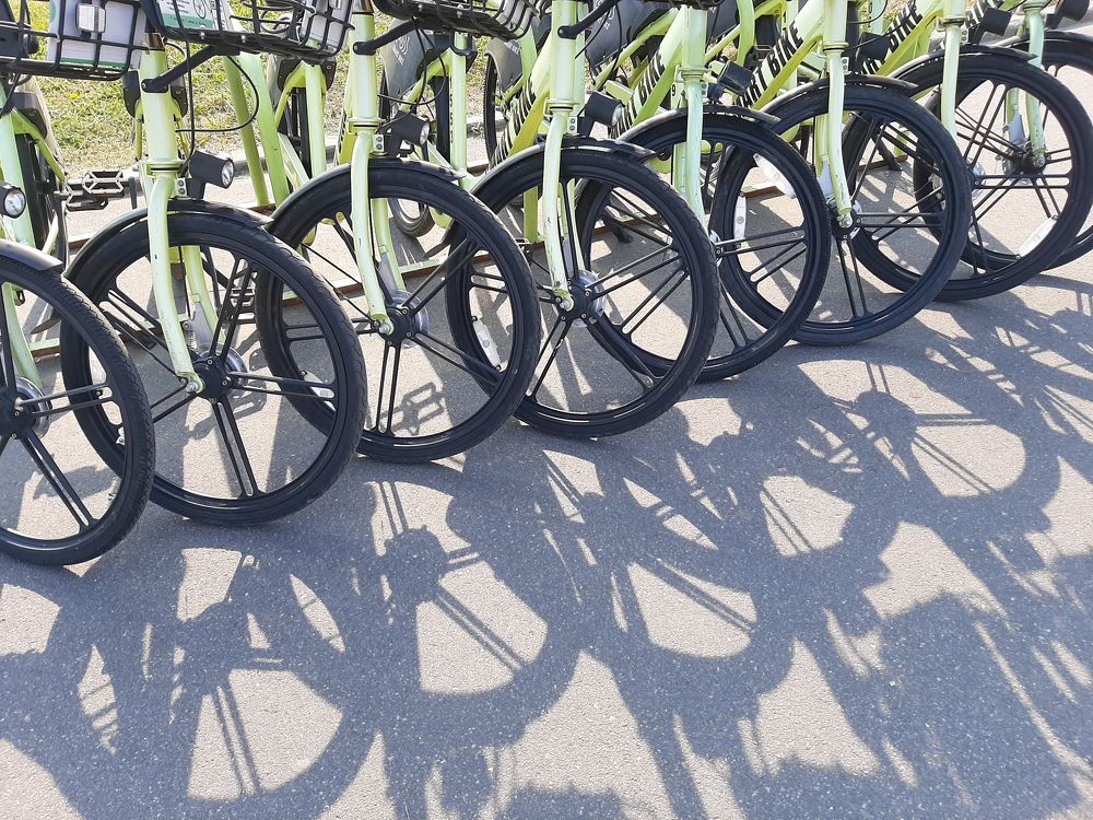 Фотография автора Светлана Дунаева