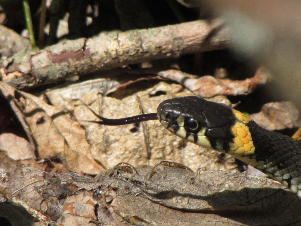 Долгожданное солнце.