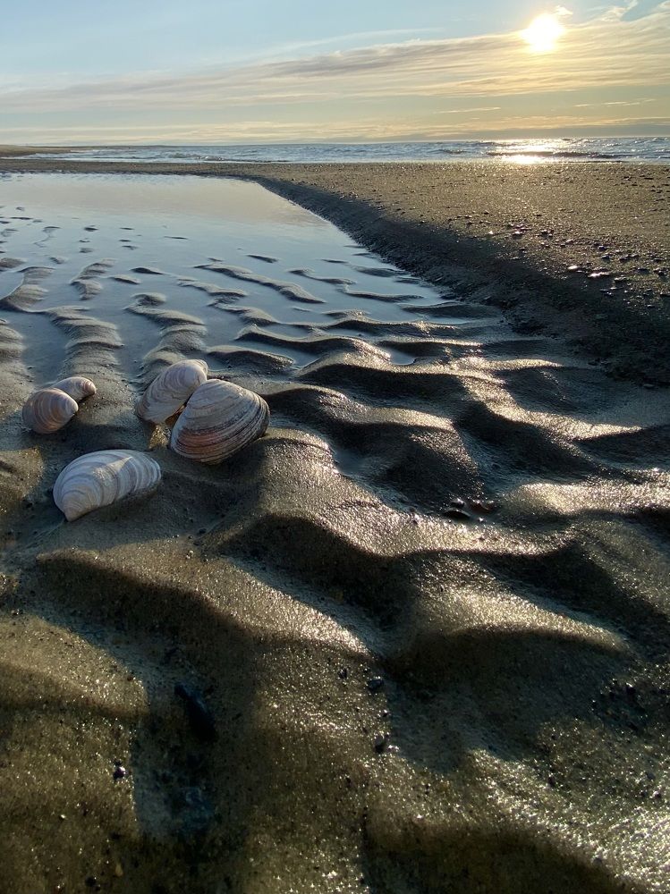 Арктический пляж.
