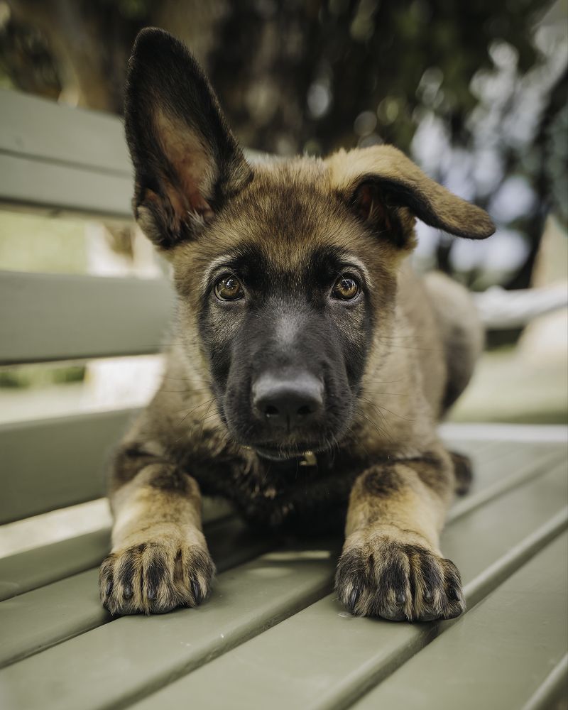 Photograph by Anna Sindikayeva