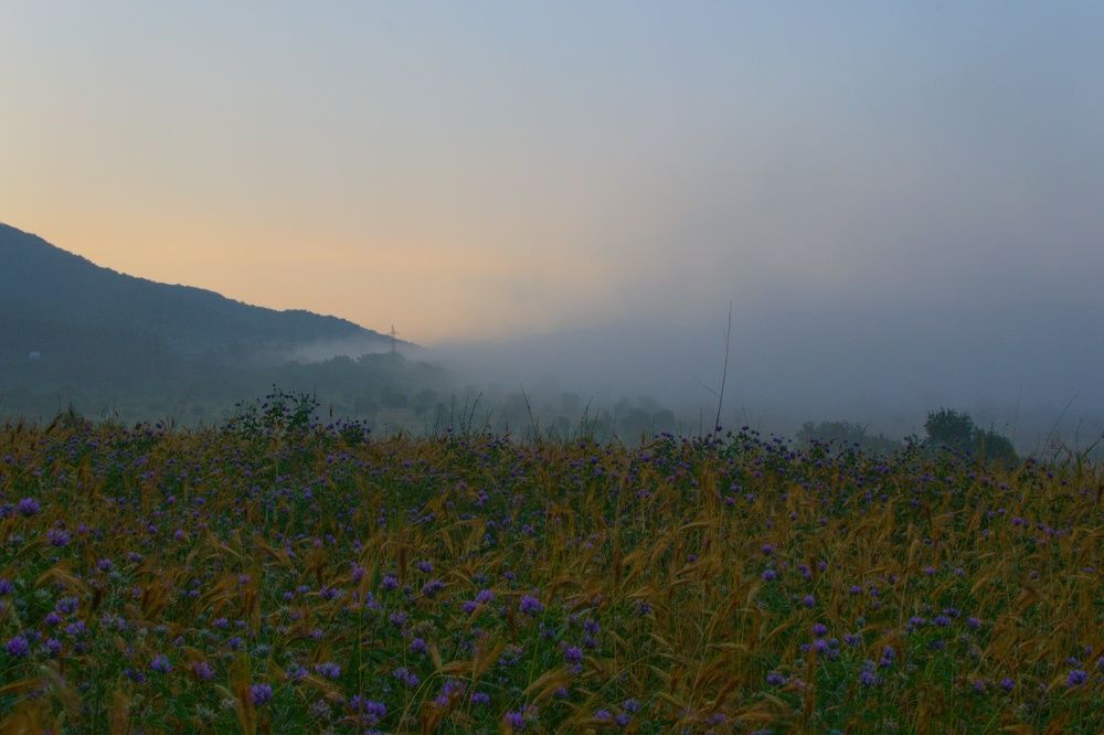 Photograph by Василиса Прекрасная