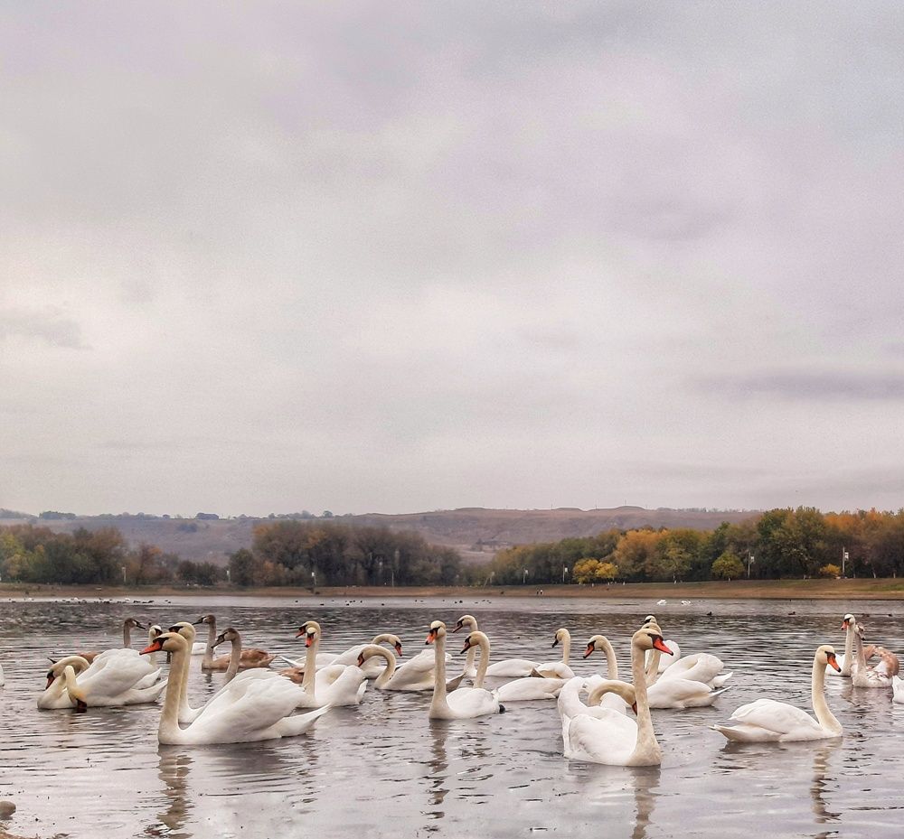 Photograph by Юлия