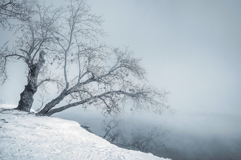 Photograph by Андрей Евтеев