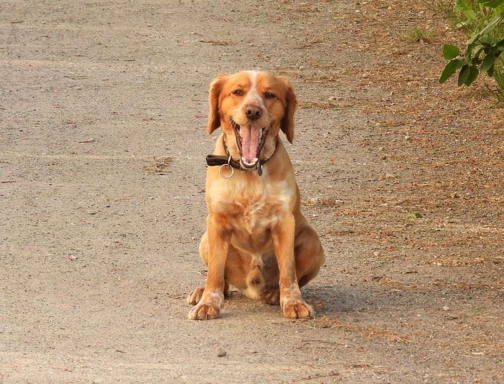 Photograph by Владимир Джерихов