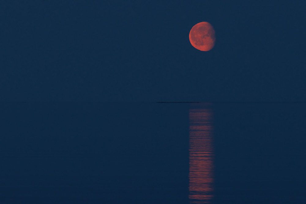 Photograph by Морозов Сергей