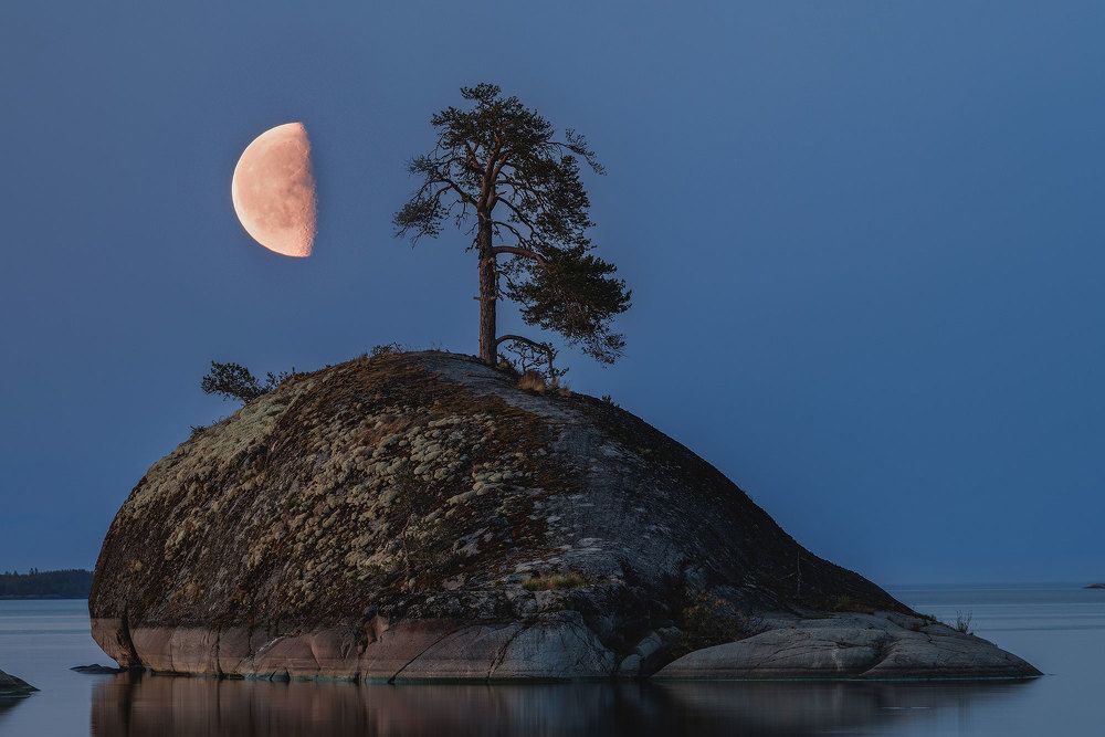 Photograph by Морозов Сергей