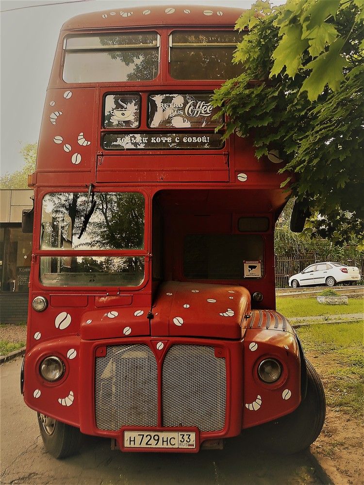 Photograph by Владимир Кривенко