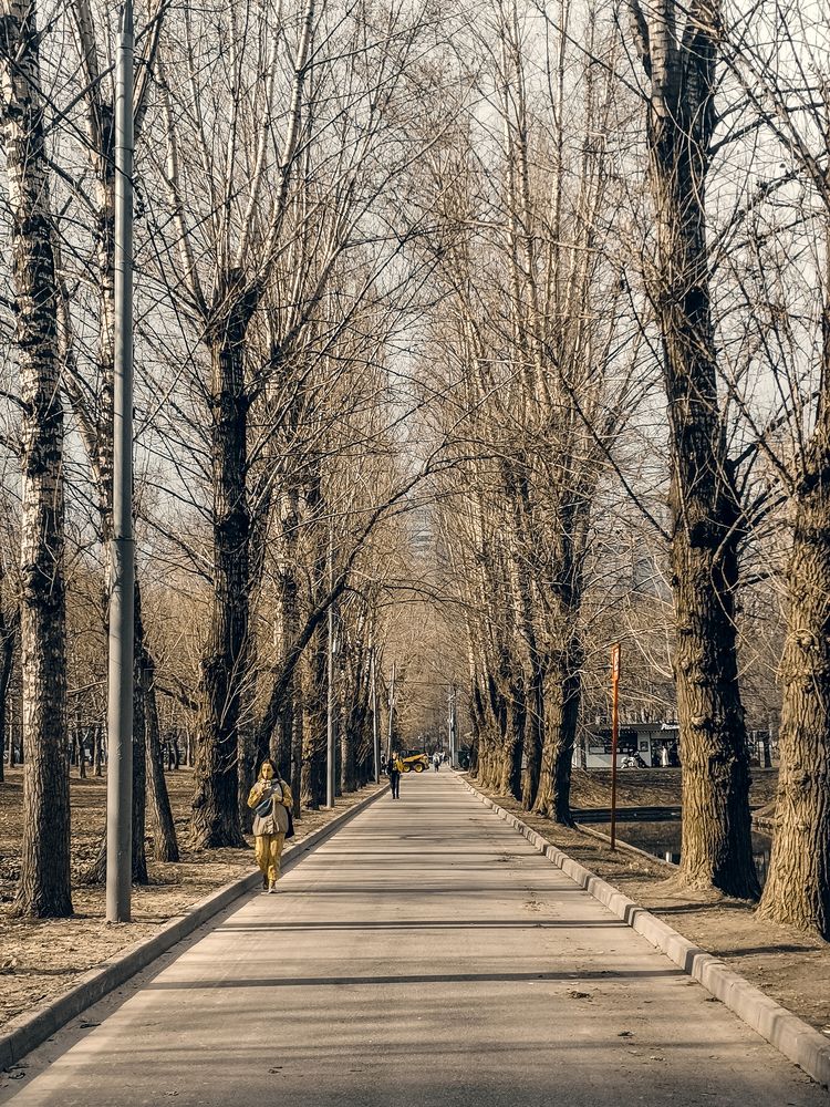 Photograph by Татьяна Никитина