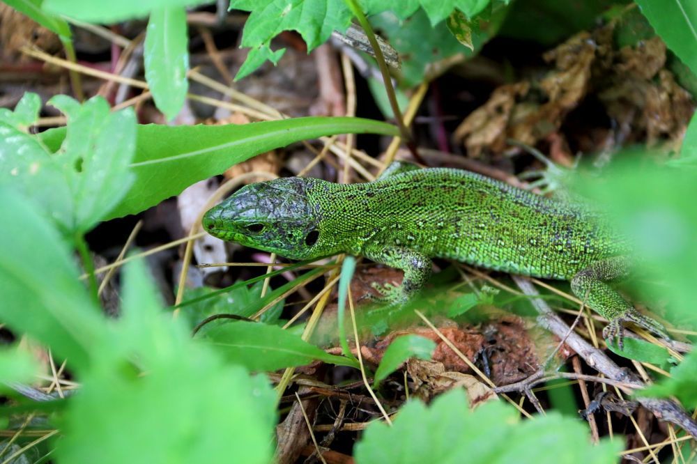 Photograph by Юрий Варюхин