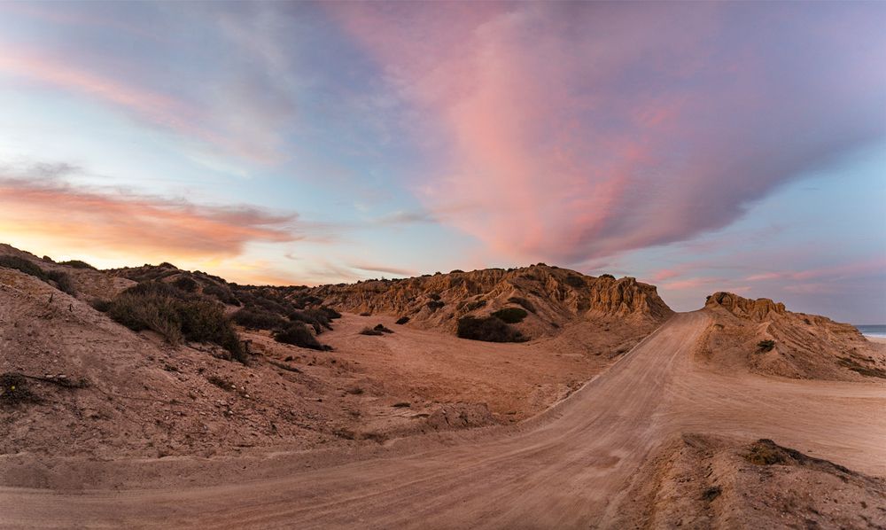 Photograph by Noe Castro