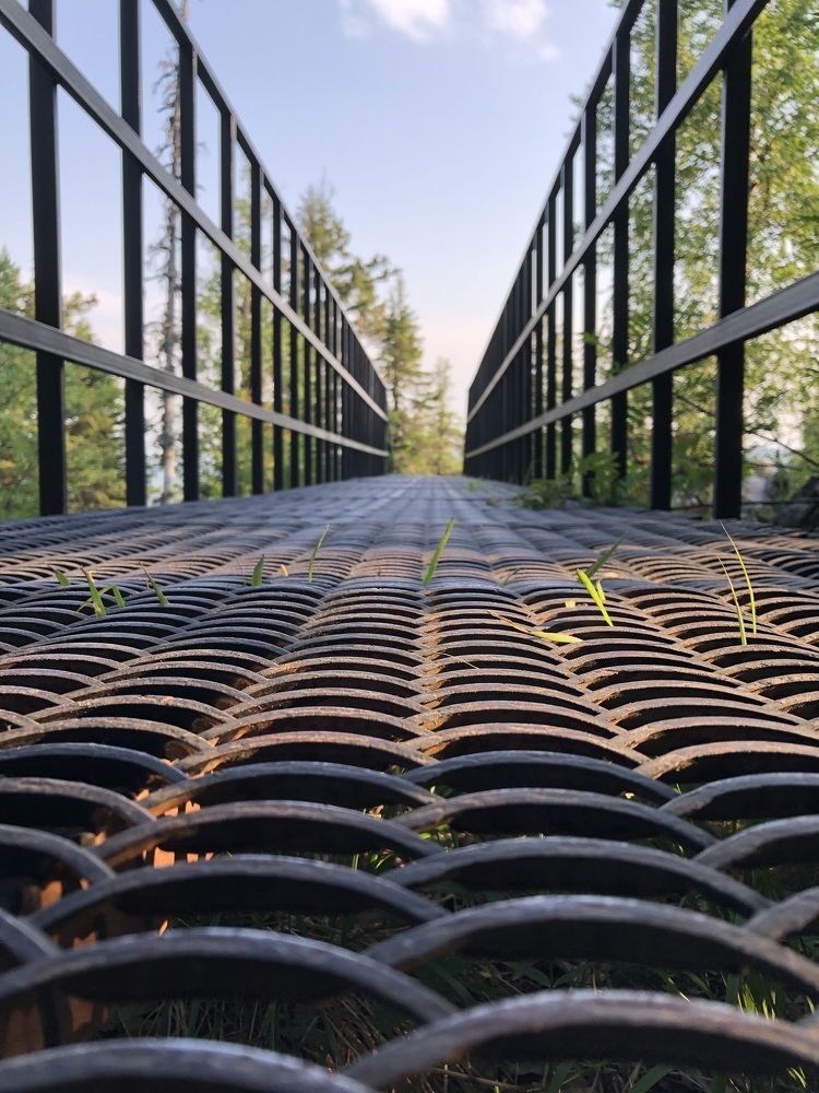 Фотография автора Евгения Елисеева